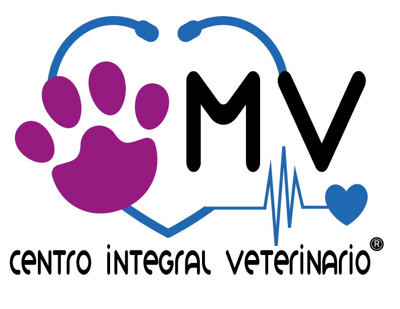 Medical Vet